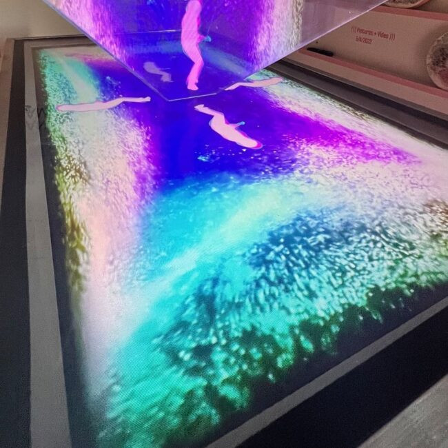 La Vie en Rose - Muestras - Daniela Ramsfelder